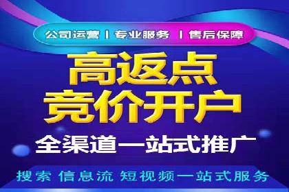 sem竞价托管代运营的实战技巧与案例